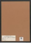 Navicula moreii O'Meara (de-Toni-Nr.: Genus 1, Species 375) Zeichnungen Sammlung Grunow Mappe 00341 (Herbarium_W_Grunow_drawings_Folder_00341)